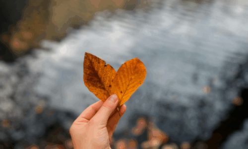 Festa d’Autunno – ottobre 2025