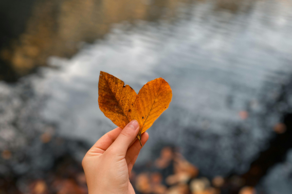 Festa d'autunno Sondrio ottobre 2025